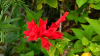 Thumbnail of post image 034