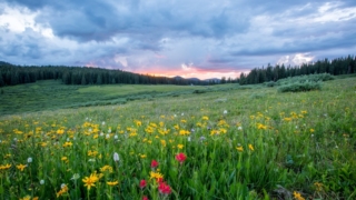 Thumbnail of post image 120