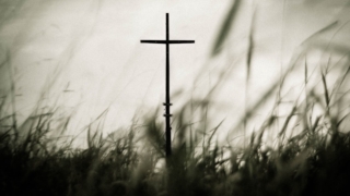 Thumbnail of post image 096