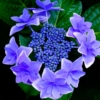 Thumbnail of new posts 133