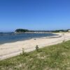 Thumbnail of new posts 171