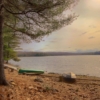 Thumbnail of new posts 176