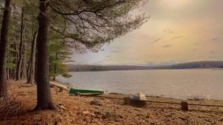 Thumbnail of post image 165