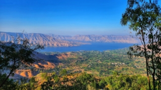 Thumbnail of post image 122