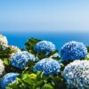 Thumbnail of new posts 094