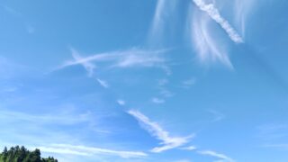 Thumbnail of post image 011