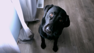 Thumbnail of post image 130