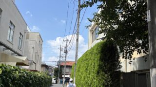 Thumbnail of post image 152