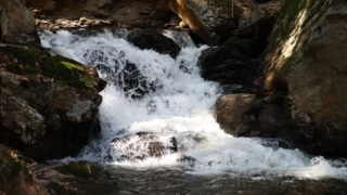 Thumbnail of post image 180