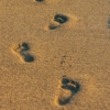 Thumbnail of new posts 017