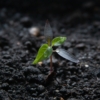 Thumbnail of new posts 199