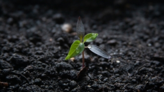 Thumbnail of post image 036