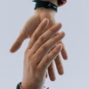 Thumbnail of new posts 079