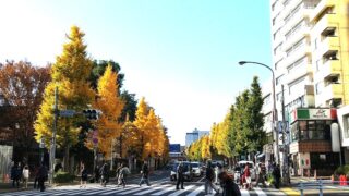 Thumbnail of post image 172