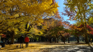 Thumbnail of post image 153