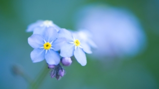 Thumbnail of post image 154