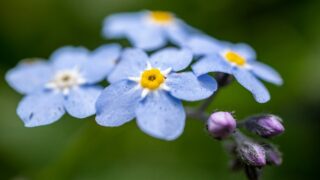 Thumbnail of post image 170