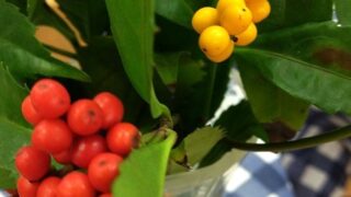 Thumbnail of post image 015