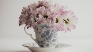 Thumbnail of post image 163