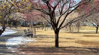 Thumbnail of post image 097