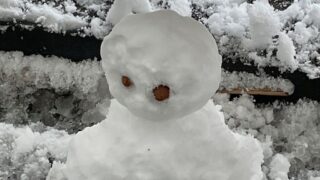 Thumbnail of post image 184