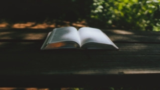 Thumbnail of post image 194