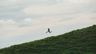 Thumbnail of post image 011