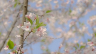 Thumbnail of post image 072